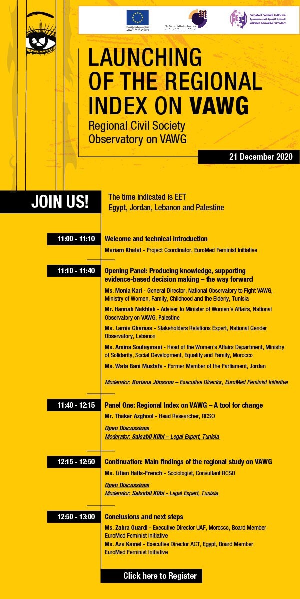 Launching Of The Regional Index On Vawg Efi Rcso